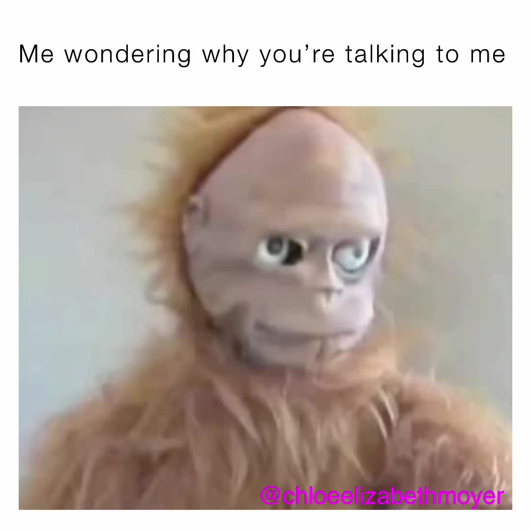 Meme shared by @bambibright