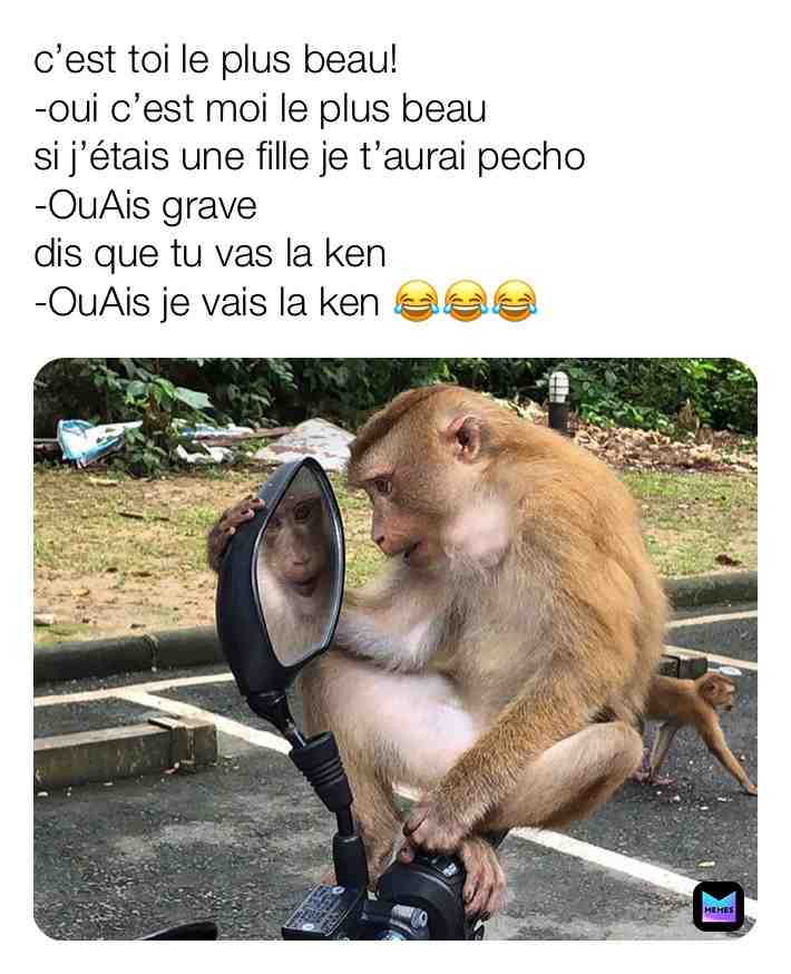  #drole #ptdr #humour #memes #mdr #french