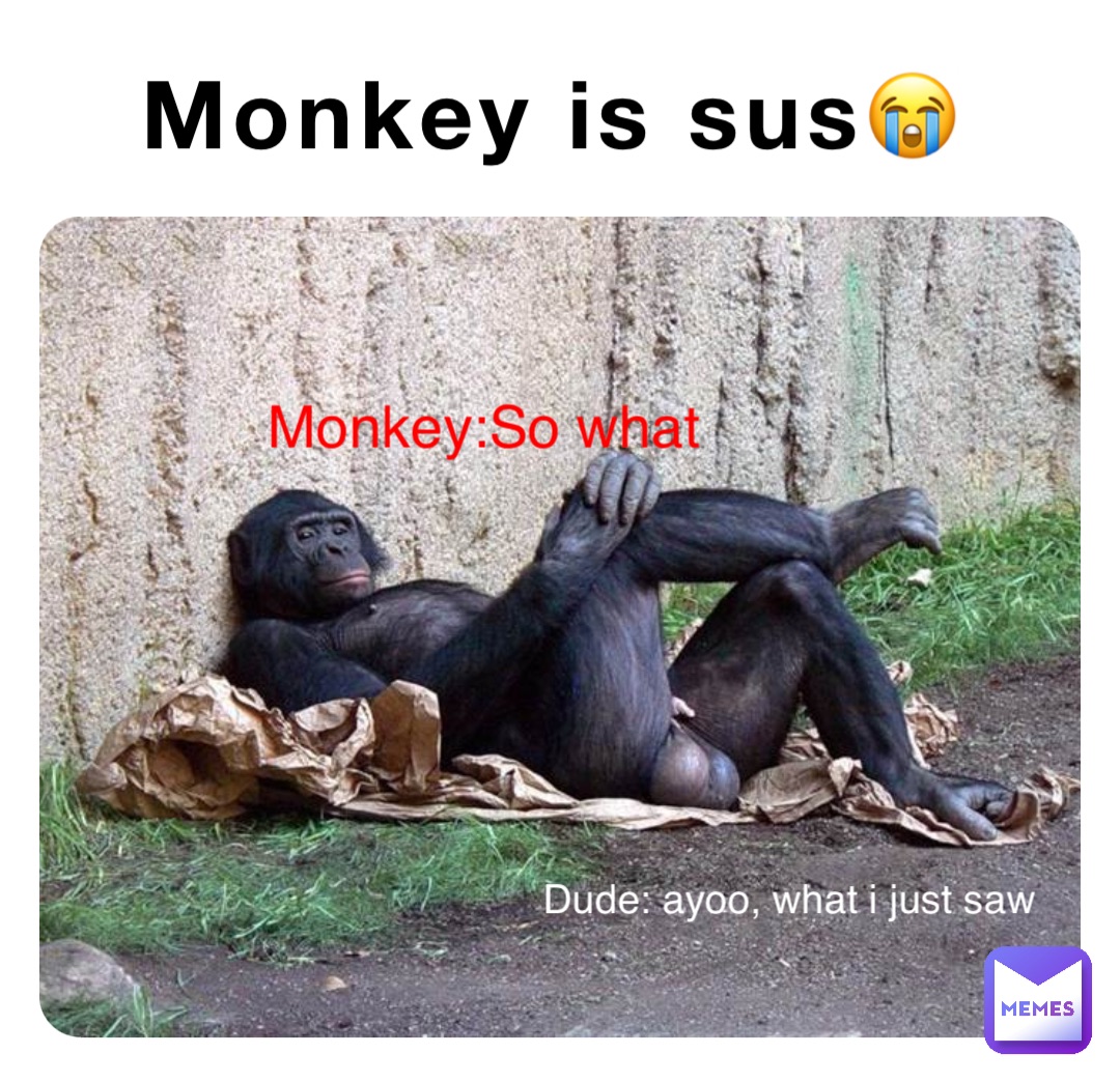 Monkey is sus😭 Monkey:So what Dude: ayoo, what i just saw