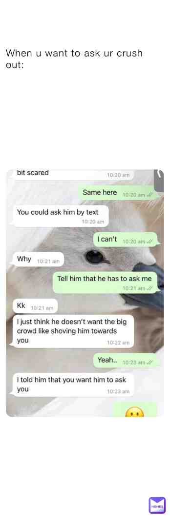 Meme shared by @N_M333