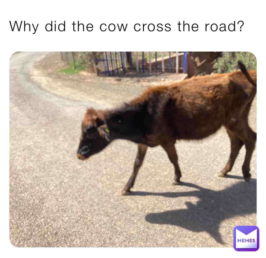 Comment down below what you think the awnser is!