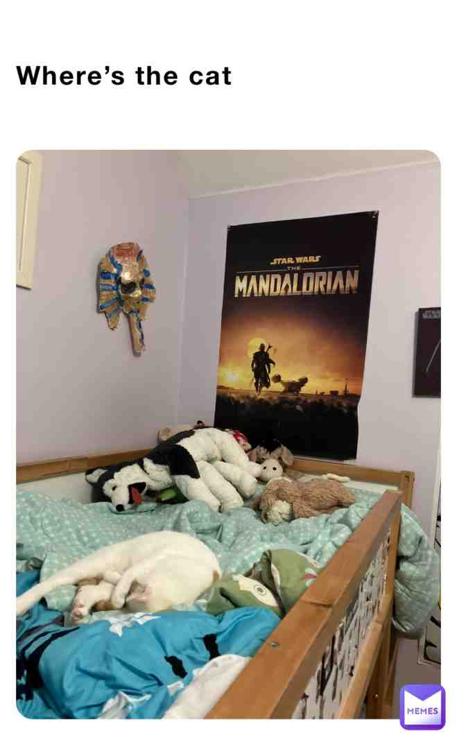 #rip cat