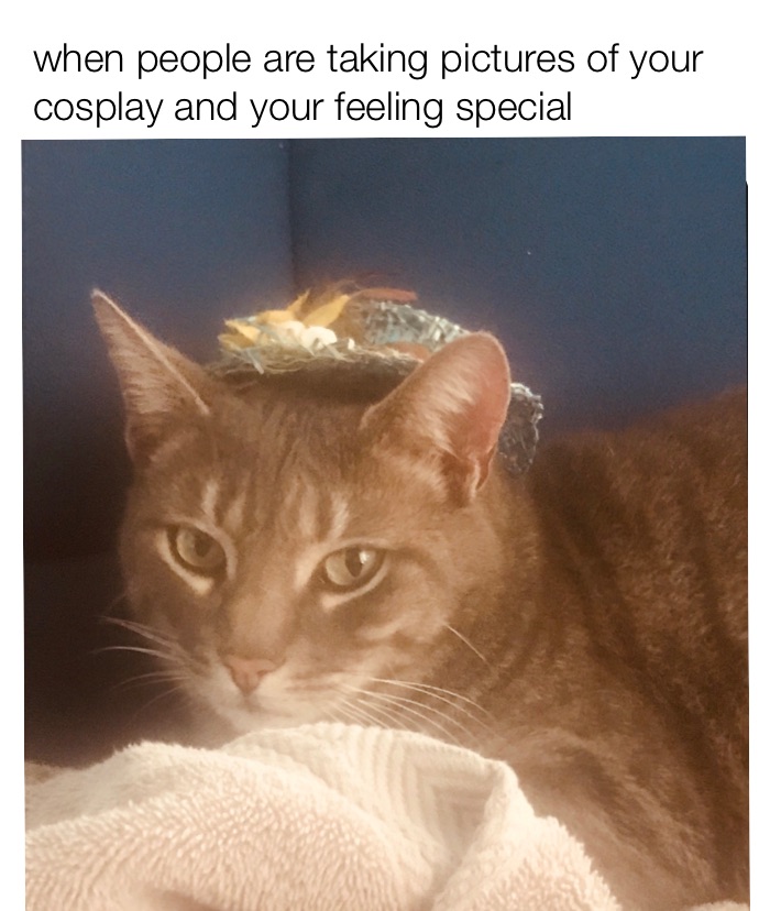 when people are taking pictures of your cosplay and your feeling special 
