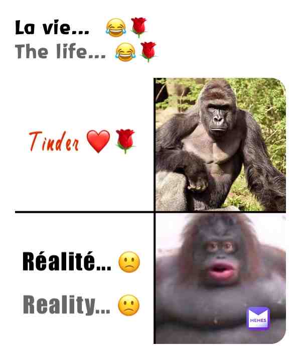 ... #france #fr #ptdr #mdr #lol #humour #tinder #reality