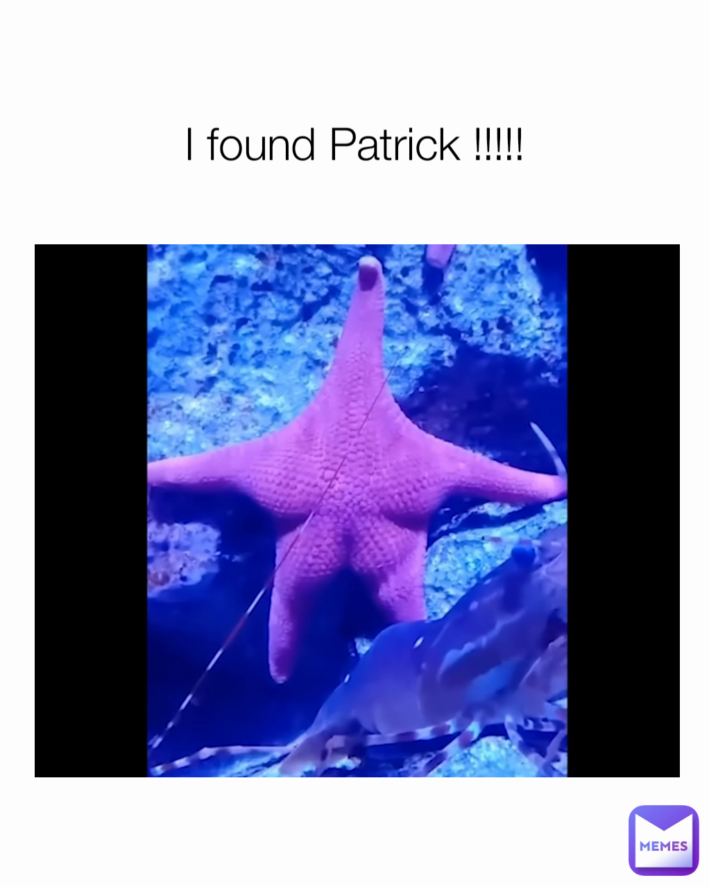 I found Patrick !!!!!