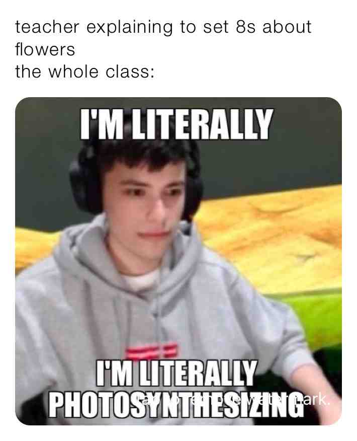 #gogy  #george  #georgenotfound  #set8memes