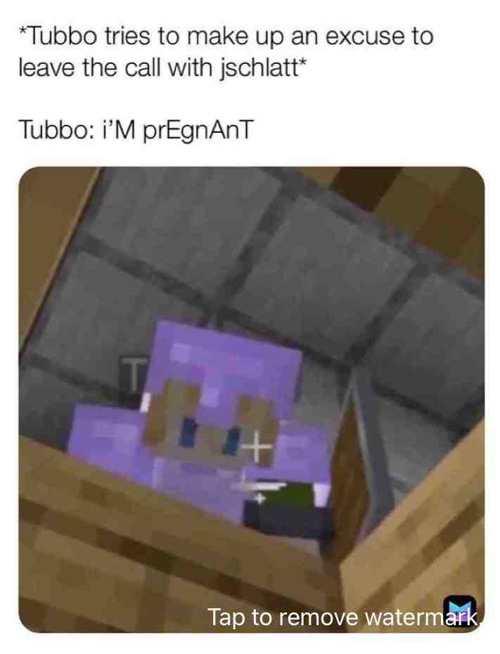 #tubbo  #mcyt  #minecraft  #pregnant