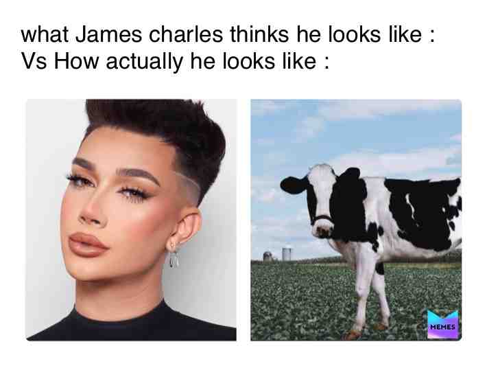 #memes