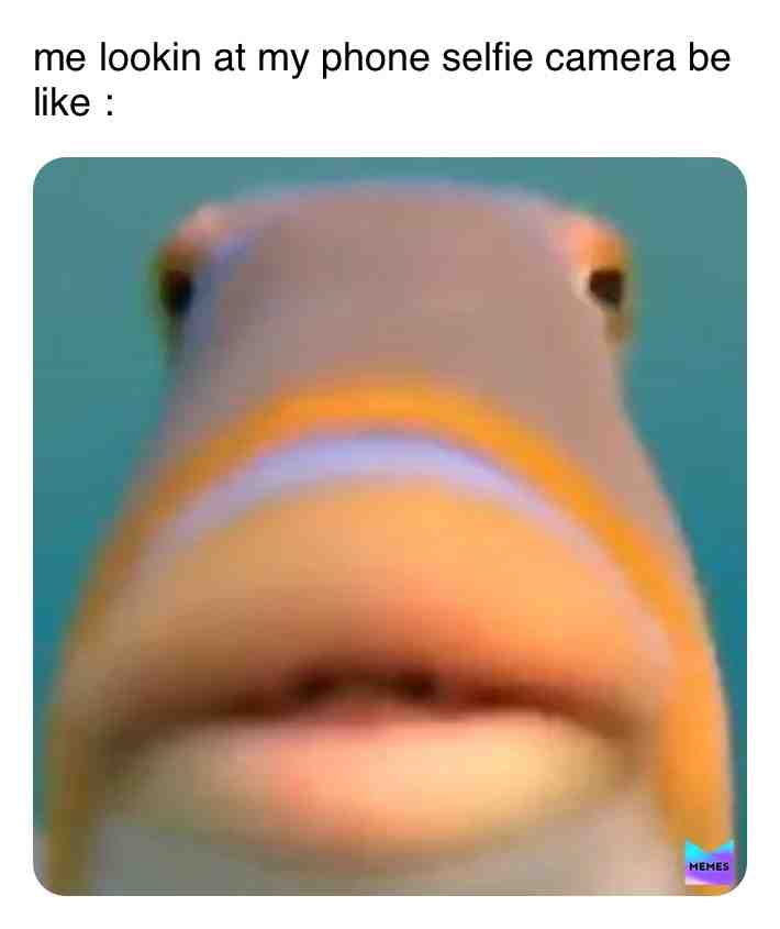 Meme preview