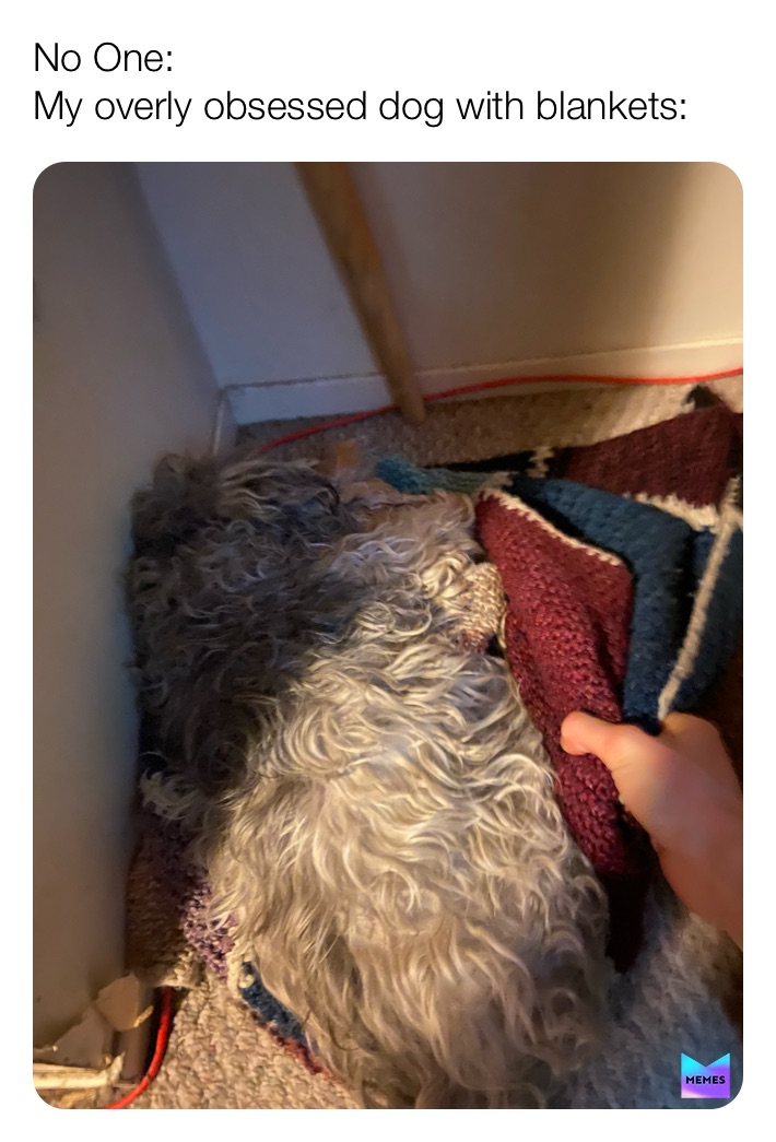 Meme by garrett_the_man