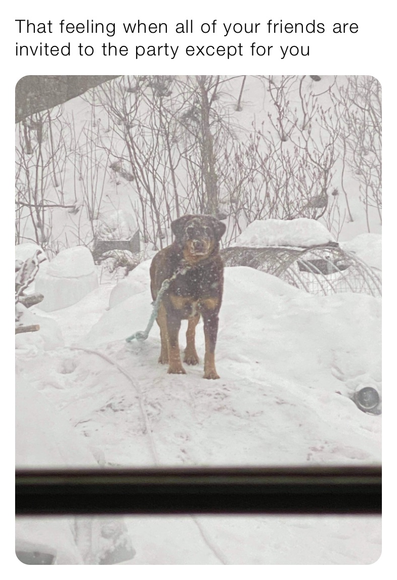 That feeling when all of your friends are invited to the party except for you 