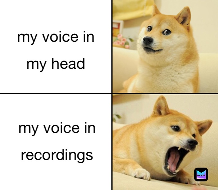 my voice in 
my head my voice in 
recordings 