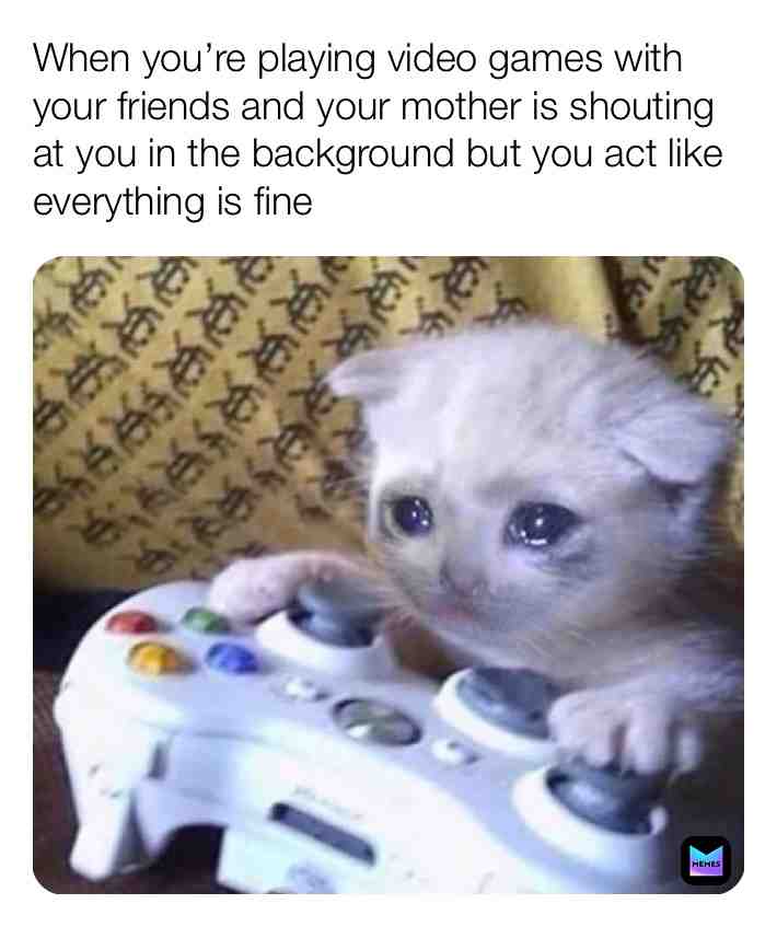 Meme shared by @teletubies