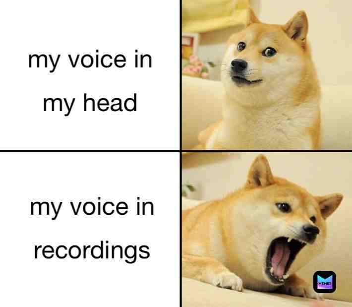 Meme shared by @teletubies