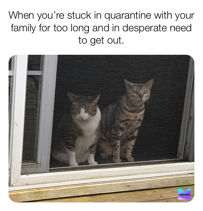 #quarantine