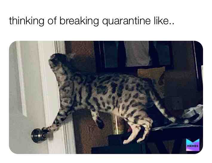 #covid19  #quarantine ​ #breakingquarantine