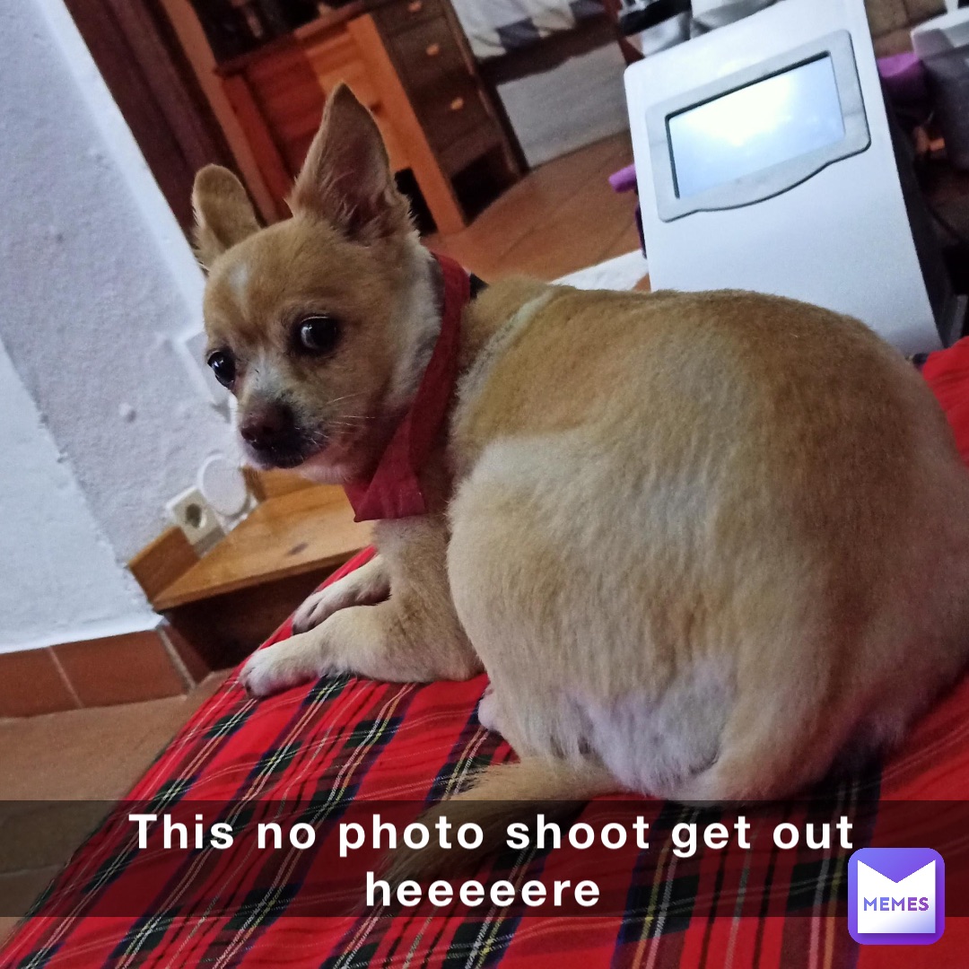 This no photo shoot get out heeeeere