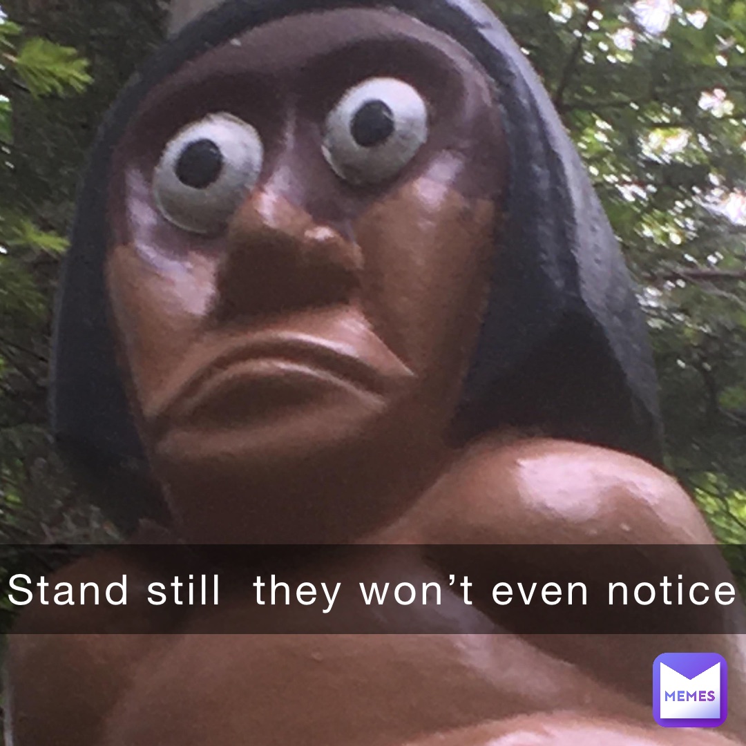 Stand still  they won’t even notice