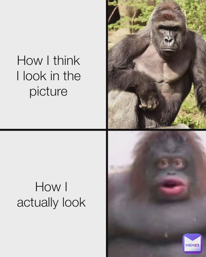 How I think I look in the picture How I actually look