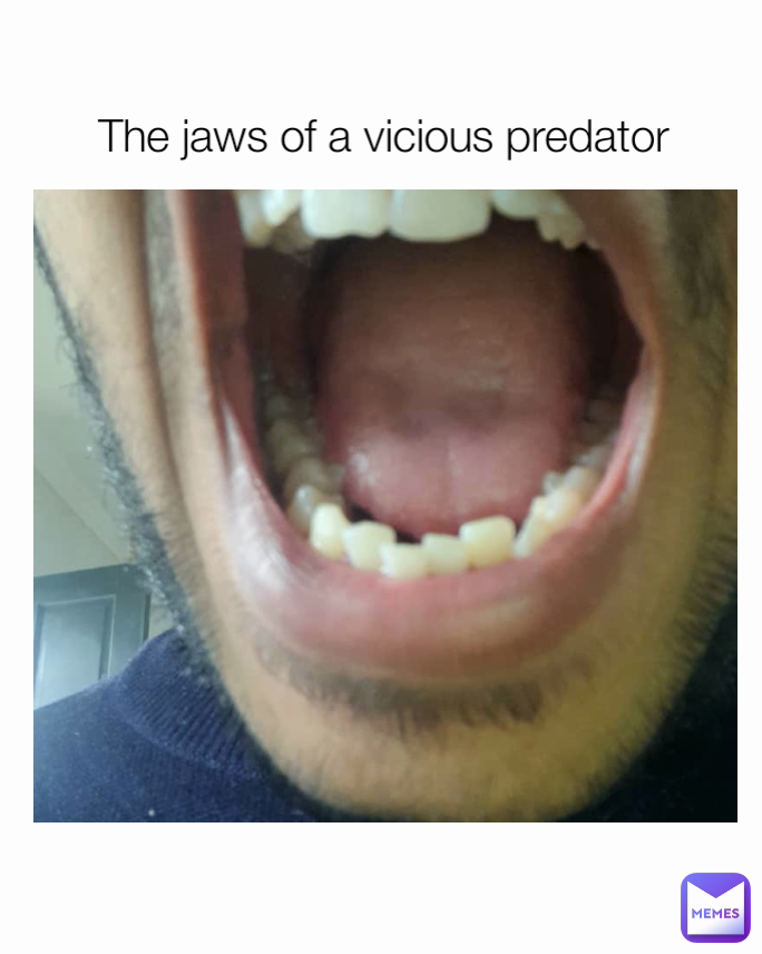 The jaws of a vicious predator