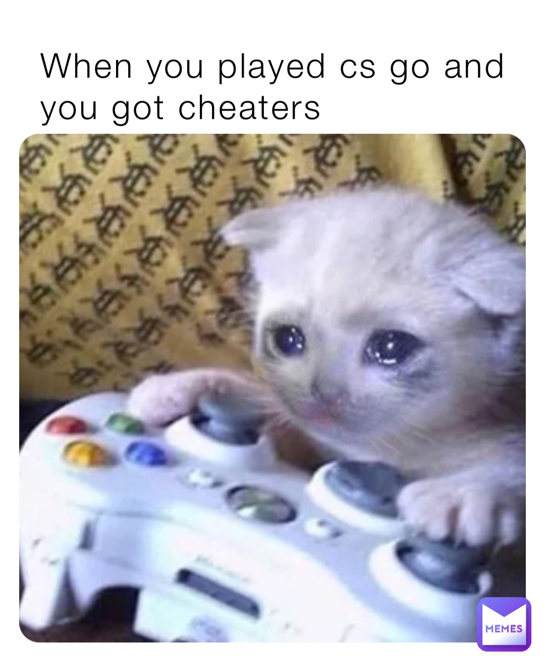 When you played cs go and you got cheaters