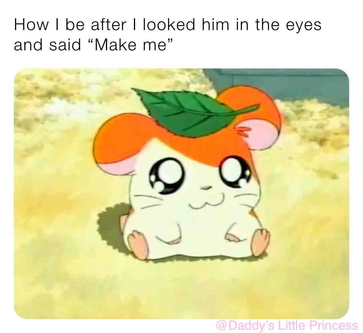 Meme preview