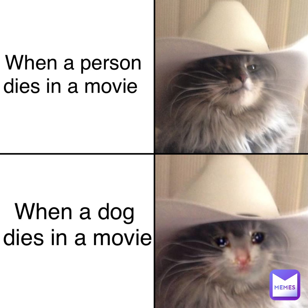 When a person 
dies in a movie When a dog
 dies in a movie