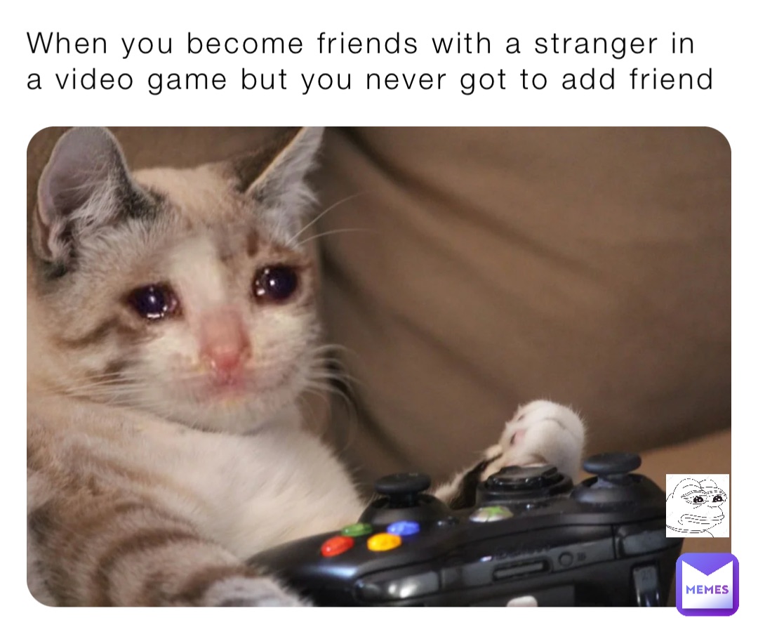 When you become friends with a stranger in a video game but you never got to add friend