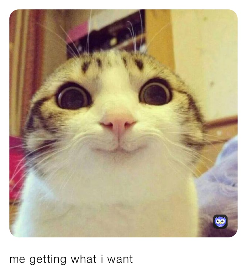 Meme by yooitscaydence2