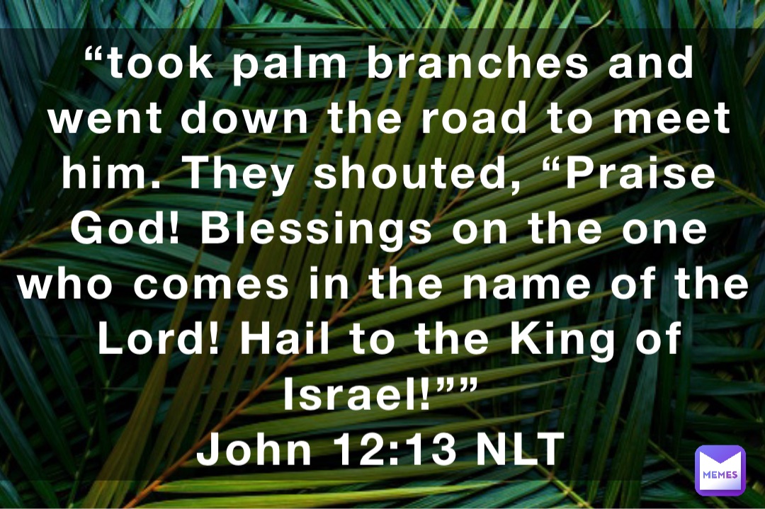 “took palm branches and went down the road to meet him. They shouted, “Praise God! Blessings on the one who comes in the name of the Lord! Hail to the King of Israel!””
‭‭John‬ ‭12‬:‭13‬ ‭NLT‬‬