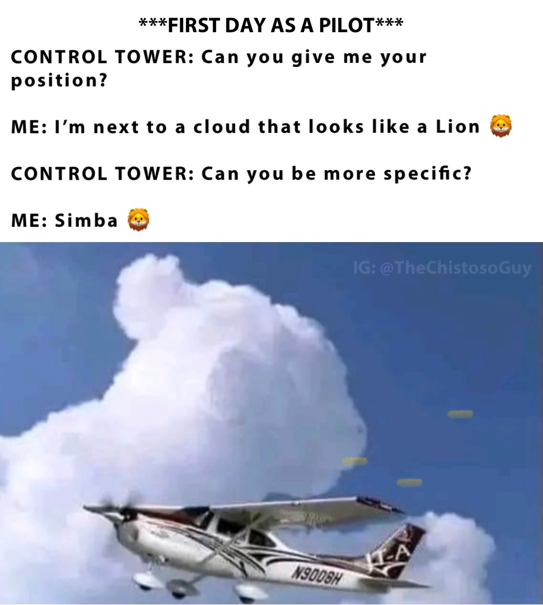 CONTROL TOWER: Can you give me your position?

ME: I’m next to a cloud that looks like a Lion 🦁 

CONTROL TOWER: Can you be more specific?

ME: Simba 🦁 ***FIRST DAY AS A PILOT***