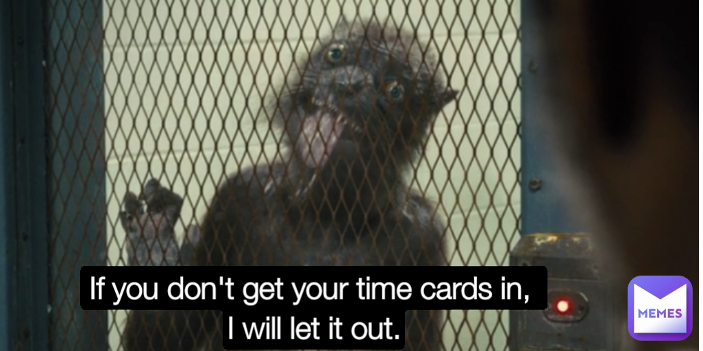 If you don't get your time cards in, 
I will let it out.