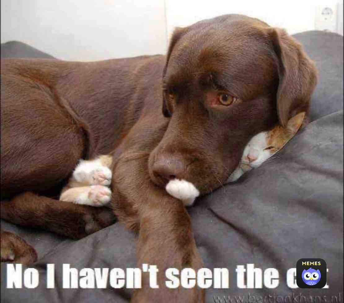 Meme shared by @kthompson28