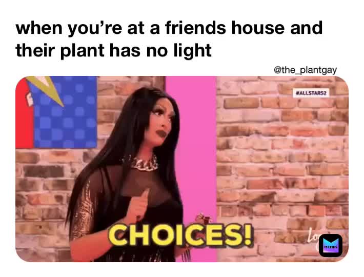 careful sweetie \ud83d\ude44
.
.
.
 #plantgay  #plantlover  #plantdaddy
 #plantstagram  #plants  #houseplants  #plantbased  #plantlife  #greenthumb  #plantsofinstagram  #plantmom  #plantsplantsplants  #plantpower  #houseplantclub  #houseplantslover  #houseplantsociety  #greenhouse  #plantythings  #greenery  #plantsmakepeoplehappy  #plantinspiration  #planthome