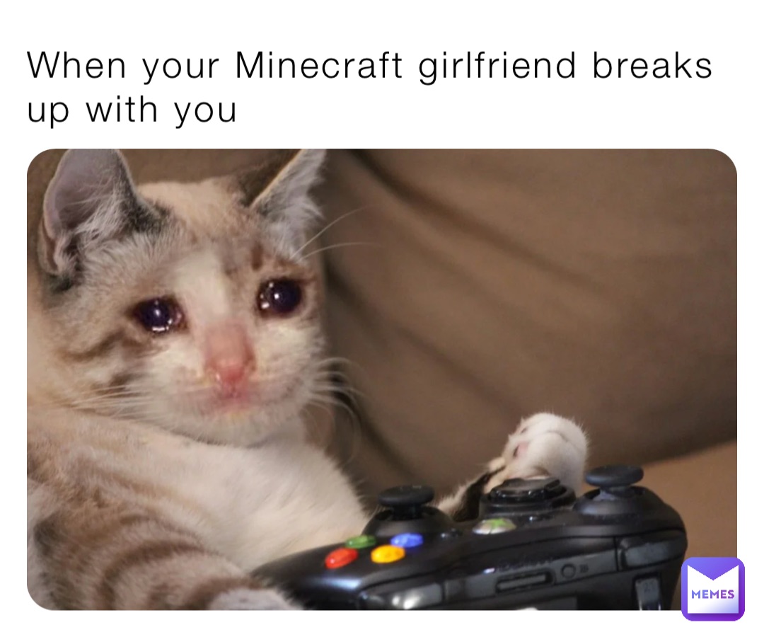 When your Minecraft girlfriend breaks up with you