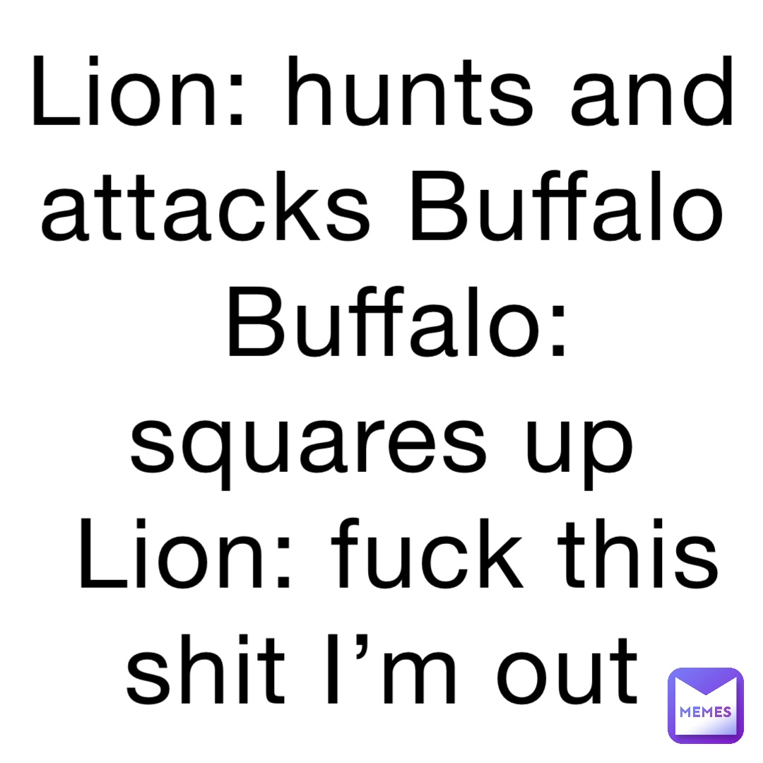Lion: hunts and attacks Buffalo
Buffalo: squares up
Lion: fuck this shit I’m out