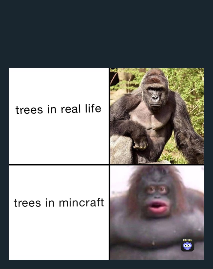 trees in real life
