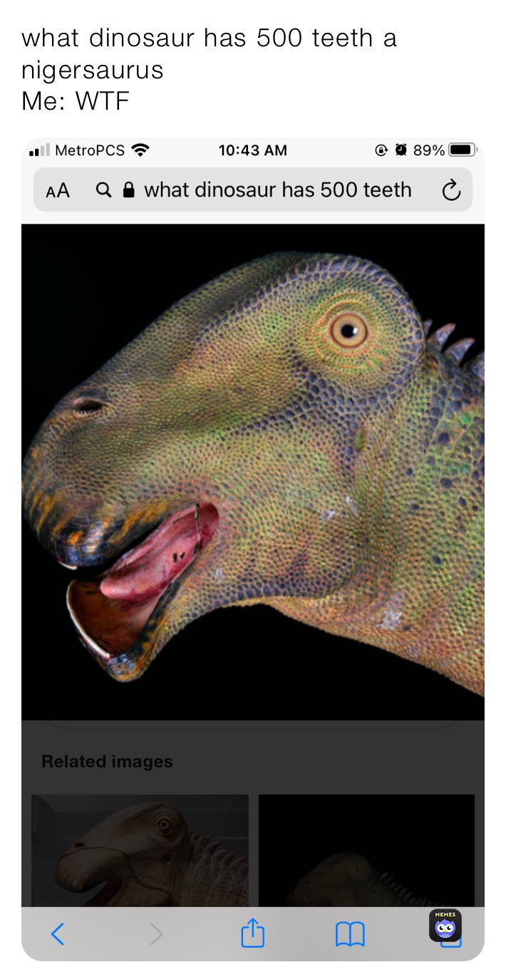 what dinosaur has 500 teeth a
nigersaurus
Me: WTF
