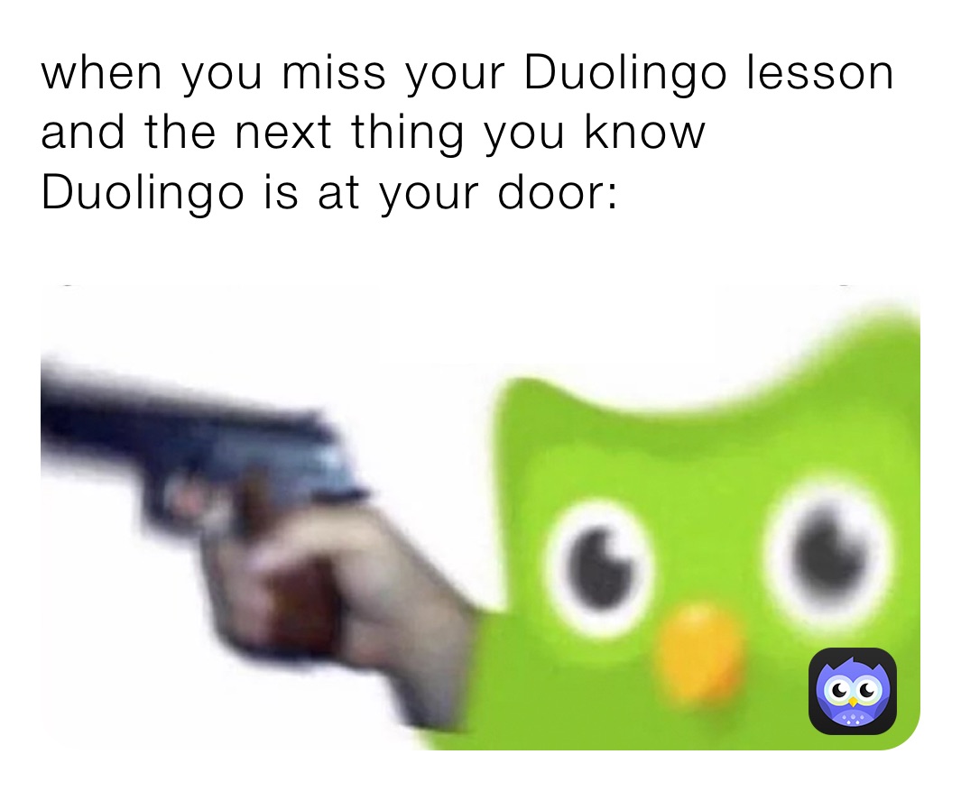 when you miss your Duolingo lesson and the next thing you know Duolingo is at your door: