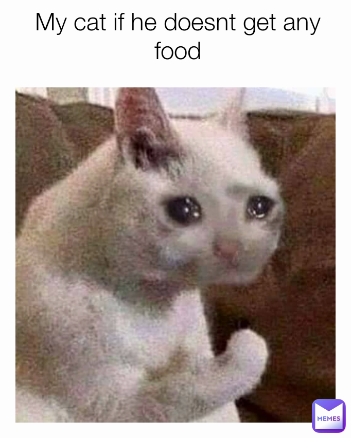 My cat if he doesnt get any food
