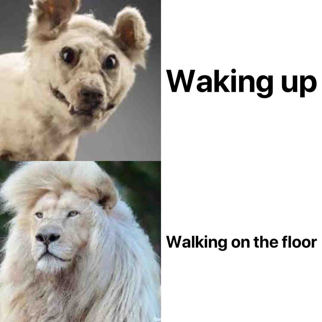 Meme preview