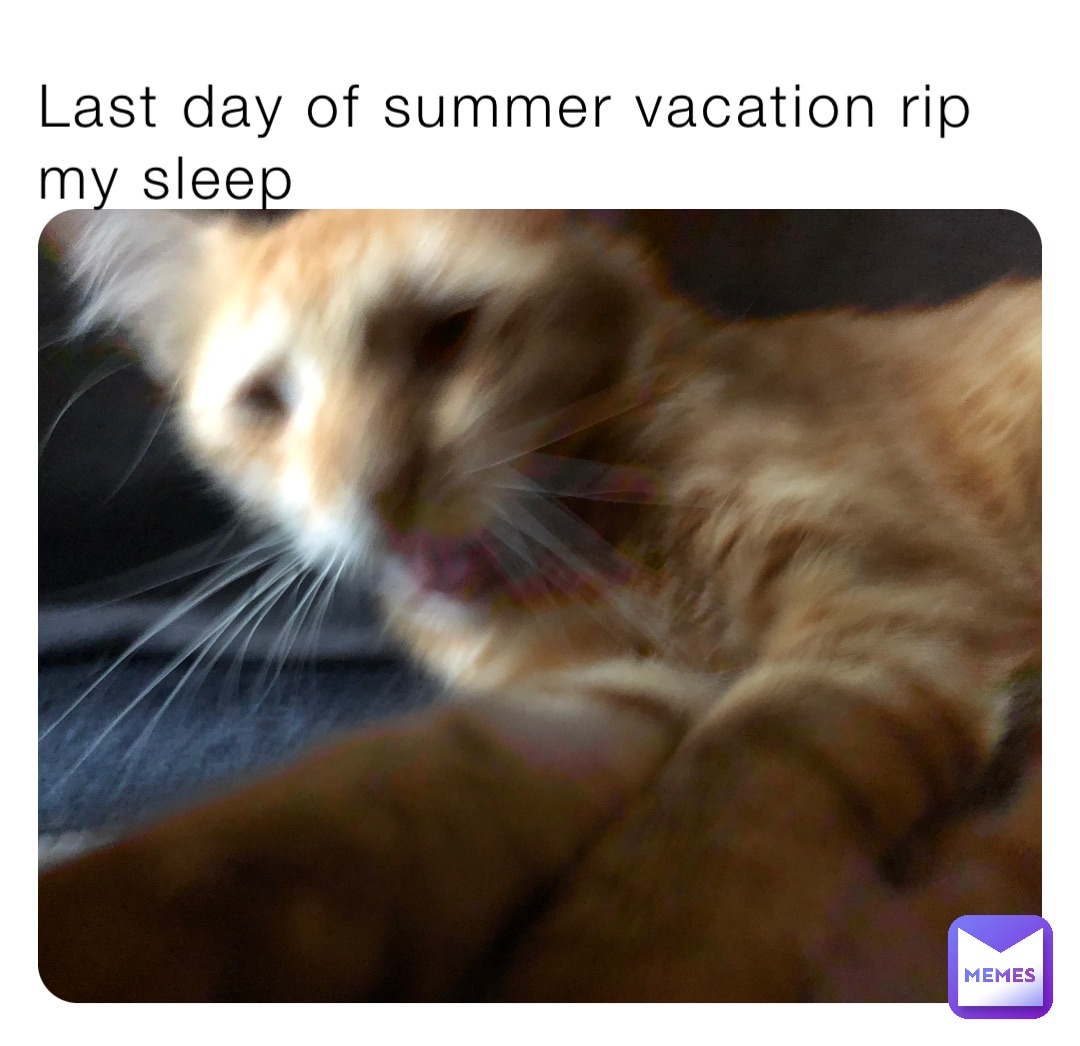 Last day of summer vacation rip my sleep