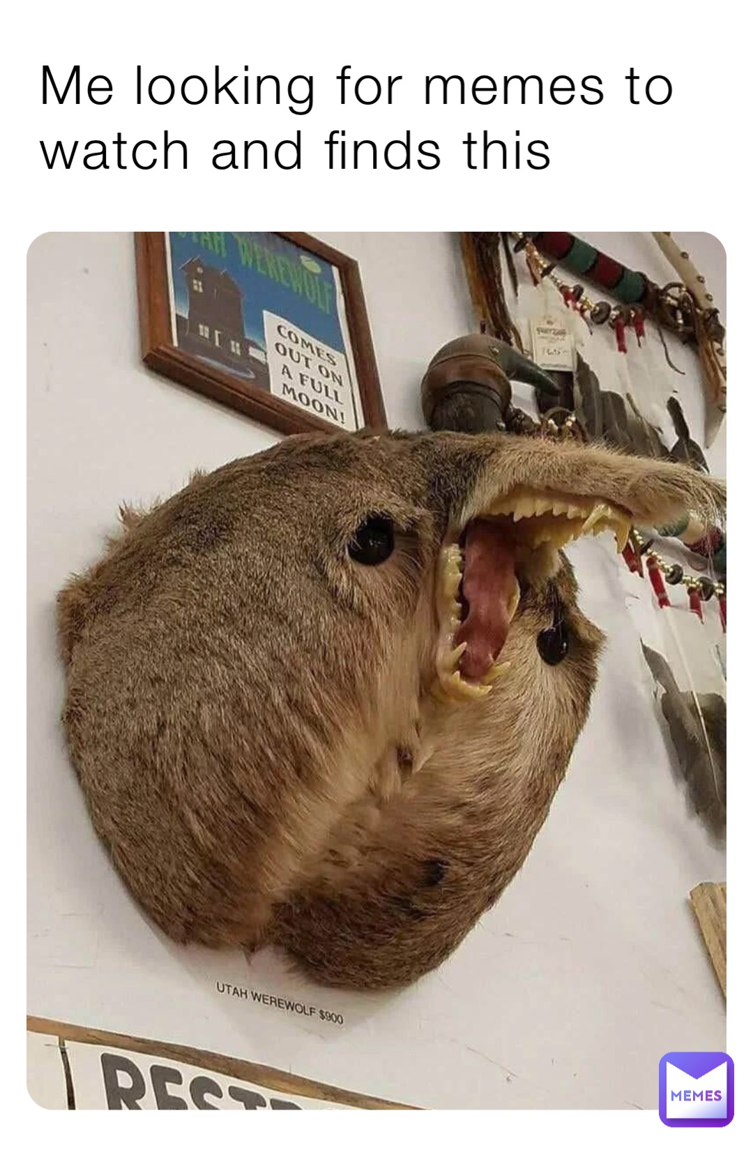 Me looking for memes to watch and finds this