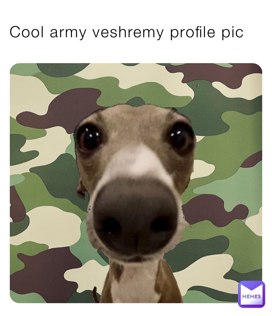 Cool army veshremy profile pic