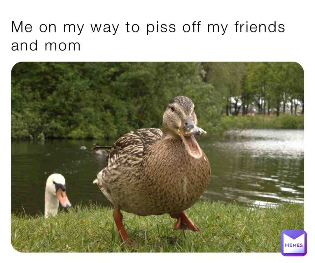 #relatable #followforfollow #likelike #bigfacts #friends #tired #oop
