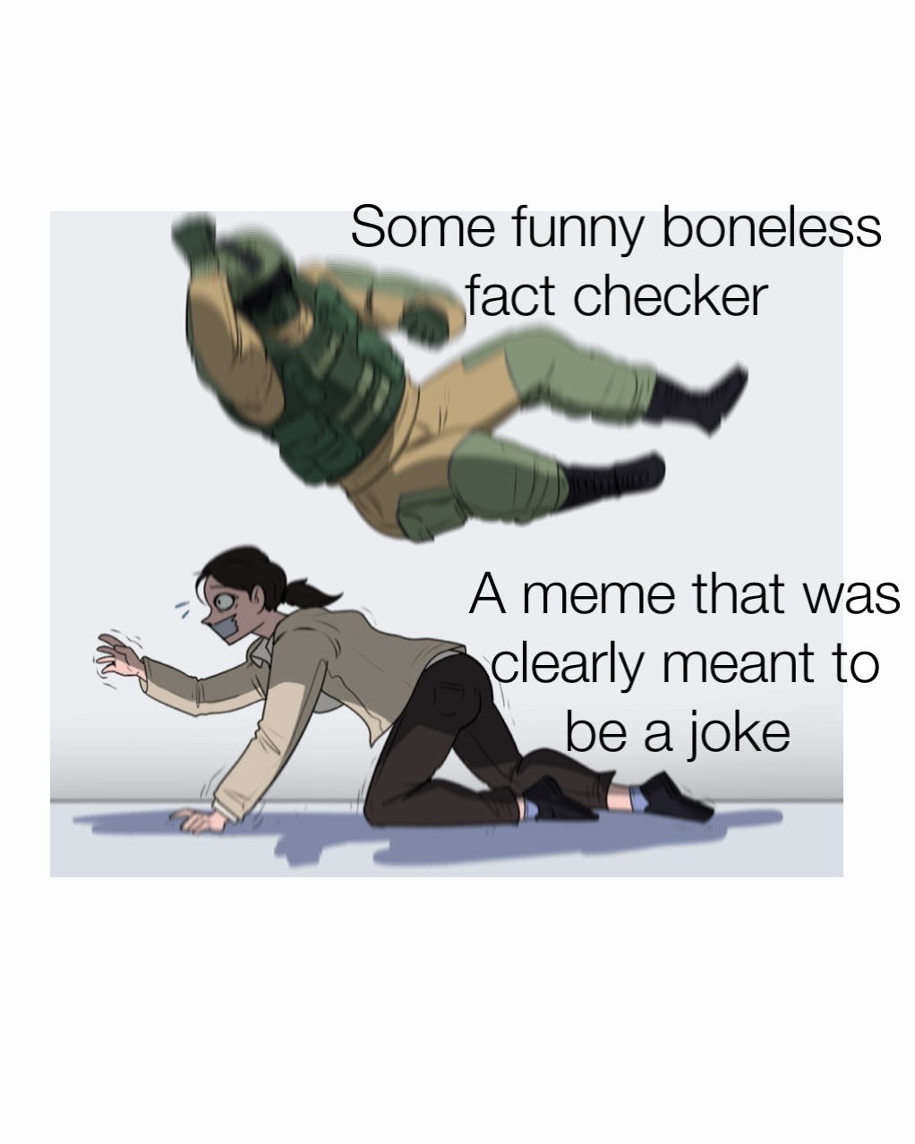 Some funny boneless fact checker A meme that was clearly meant to be a joke 
