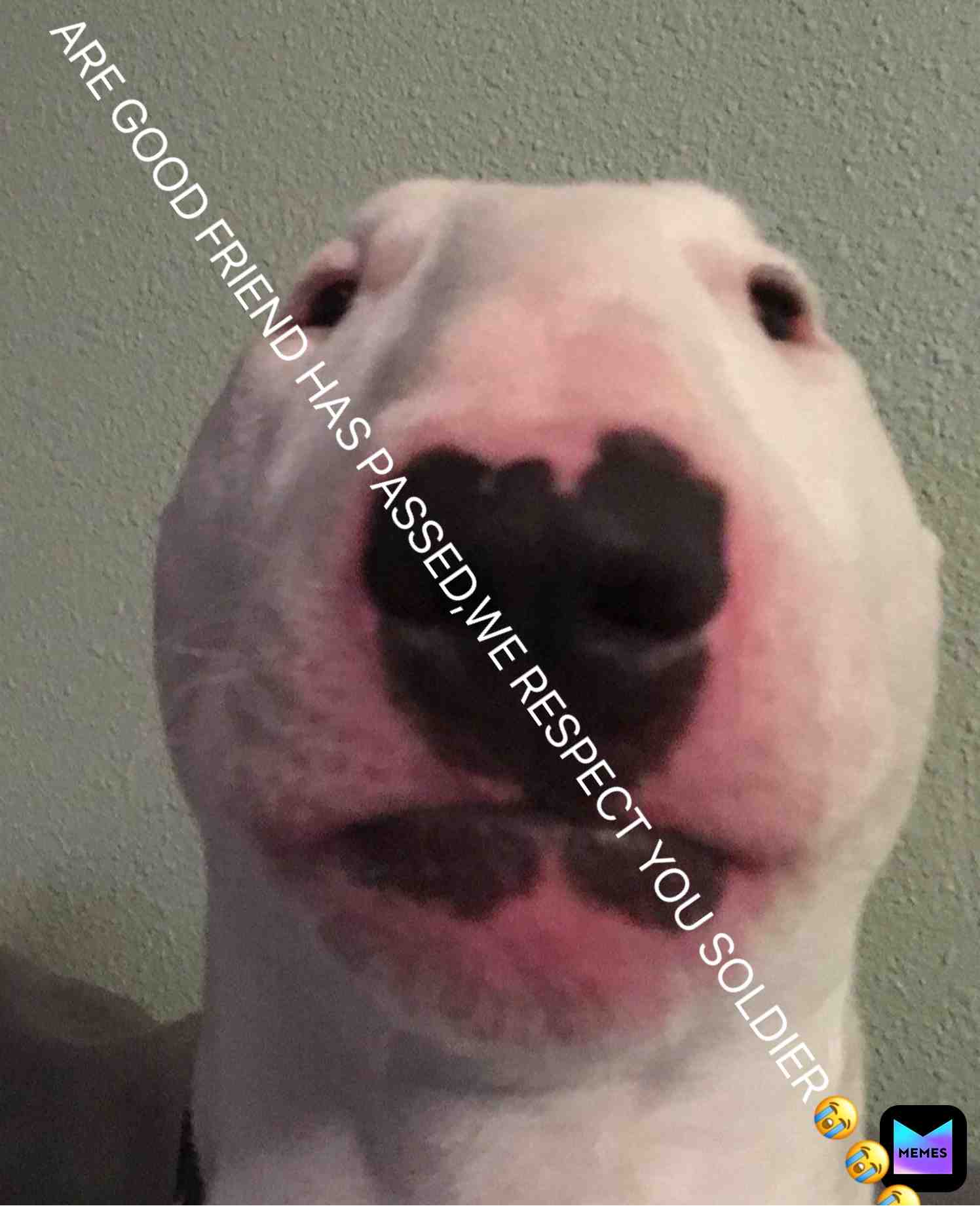 Meme preview