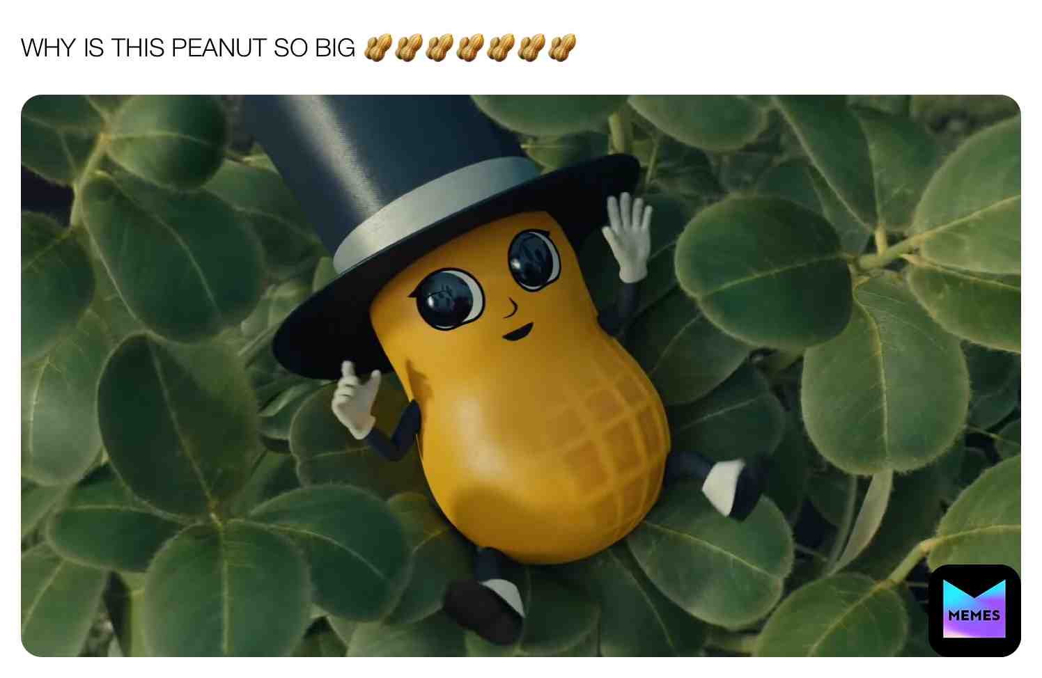 Meme preview