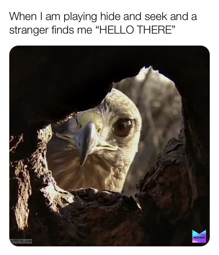 Meme preview
