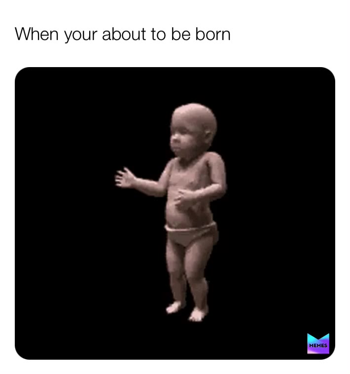 When I\u2019m about to be born
.
.
.
 #cleanliving  #babyshower  #mthfr  #stockings  #bathbomb  #musthave  #cybermonday  #organic  #wellness  #healthylifestyle  #health  #christmastree  #stockingstuffers  #giveaway  #bath  #betterthanlush  #holidayfun  #1month  #\ud83d\ude18  #nature  #mammal  #wildlife  #primate  #portrait  #animal  #outdoors  #tree  #tropical  #like4followers  #follower